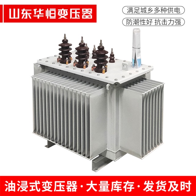 S13-10000/35罗城罗城罗城油浸式变压器厂家